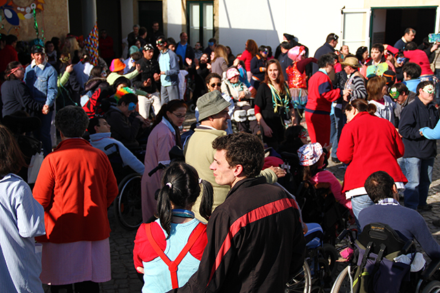 foto castanheira 161-1